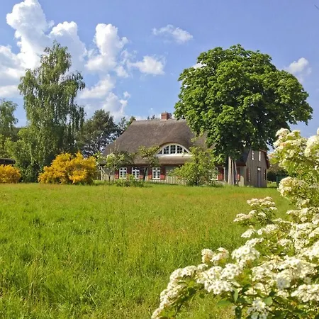 Old Shipman's House Comfortable Holiday home Wieck